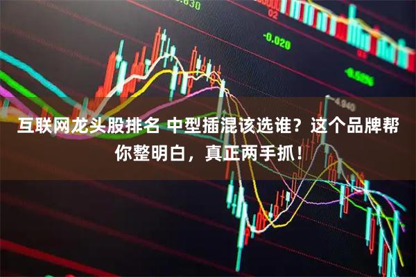 互联网龙头股排名 中型插混该选谁？这个品牌帮你整明白，真正两手抓！