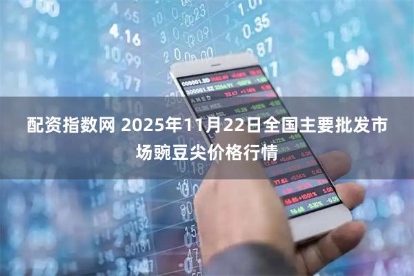 配资指数网 2025年11月22日全国主要批发市场豌豆尖价格行情